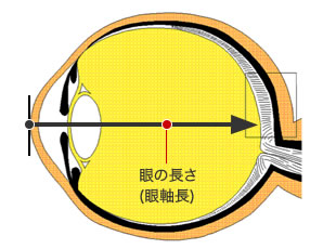 IOLマスター７００